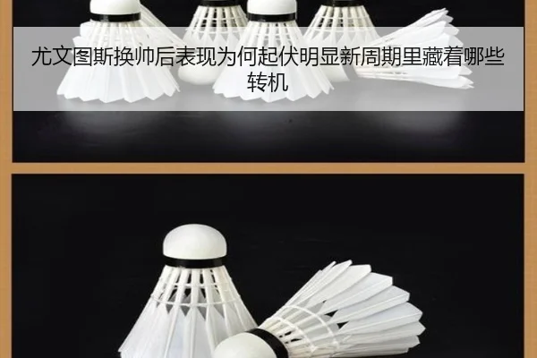 尤文图斯换帅后表现为何起伏明显新周期里藏着哪些转机 - iQIYI